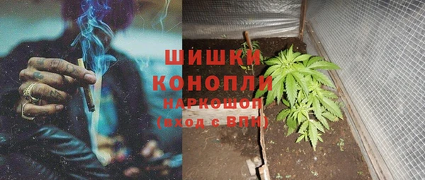 индика Алзамай