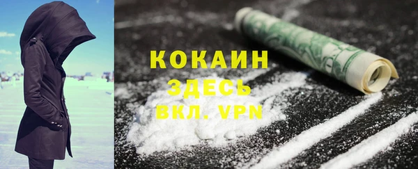 индика Алзамай