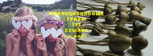индика Алзамай