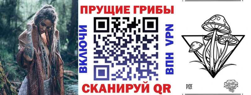 Псилоцибиновые грибы MAGIC MUSHROOMS мега сайты даркнета телеграм Олонец